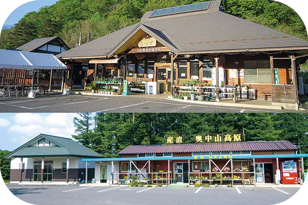 Farmers’ market (Salad Bowl Kozuya, Okunakayamakogen)