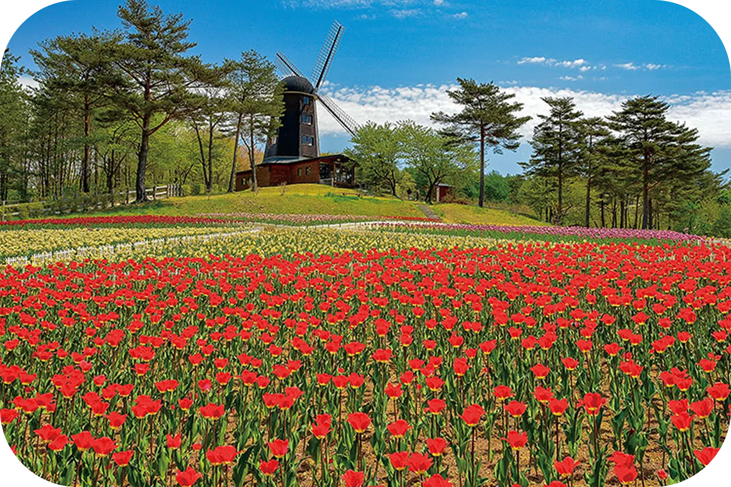 Yukiyagawa Dam Forest Park Karumai