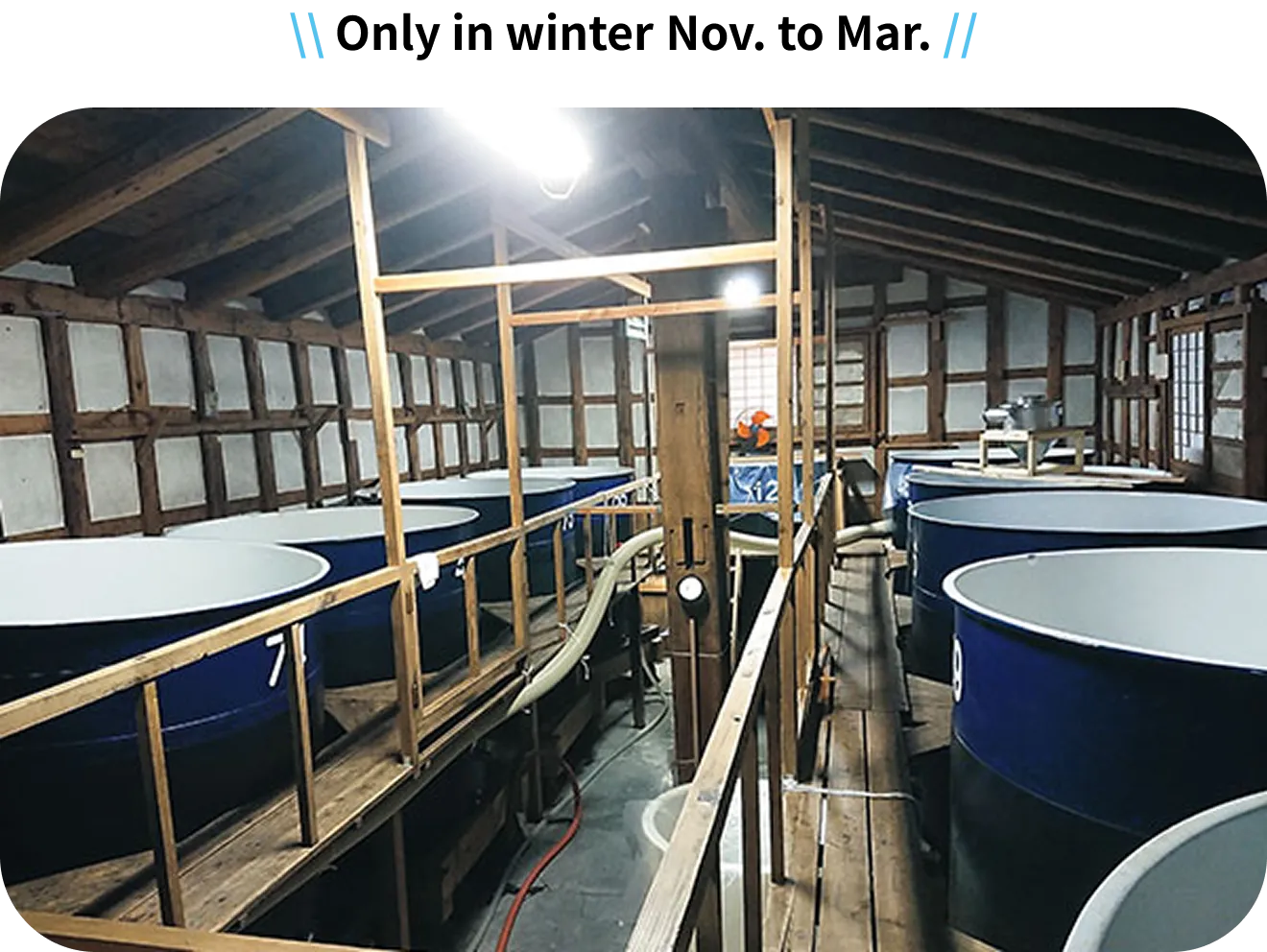 Only in winter
Nov. to Mar.