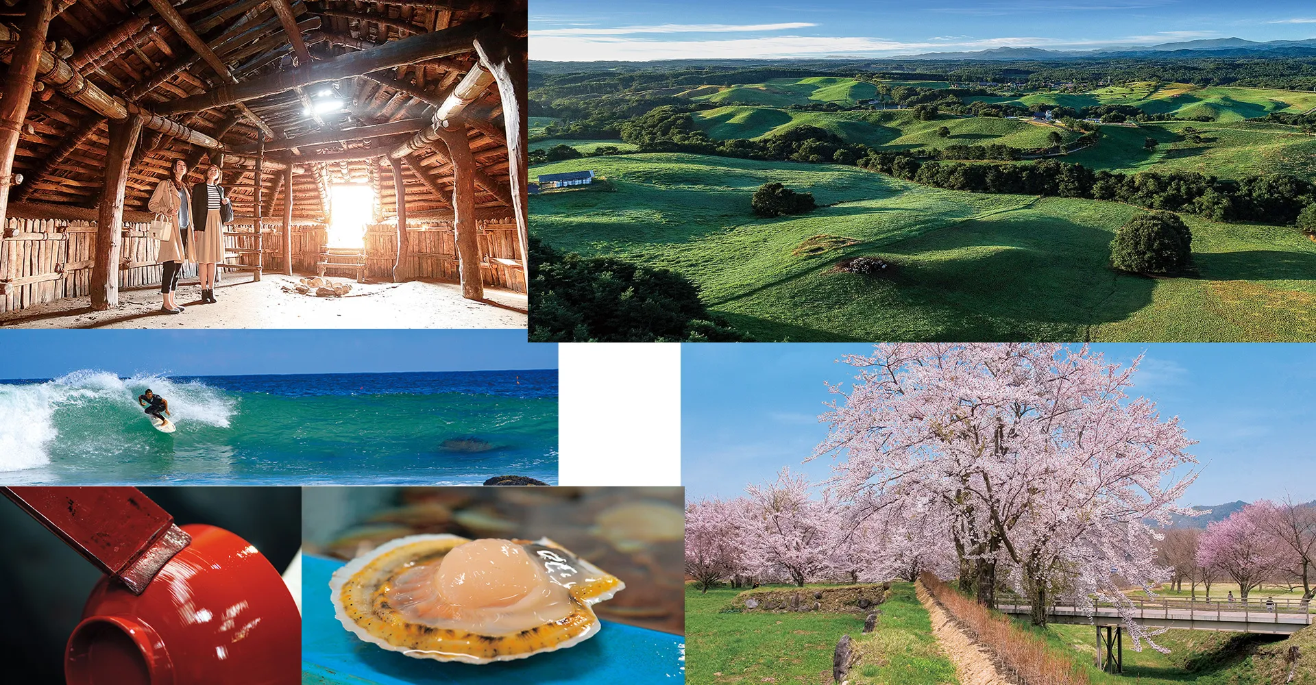 Amazing! A Journey to Northern Iwate