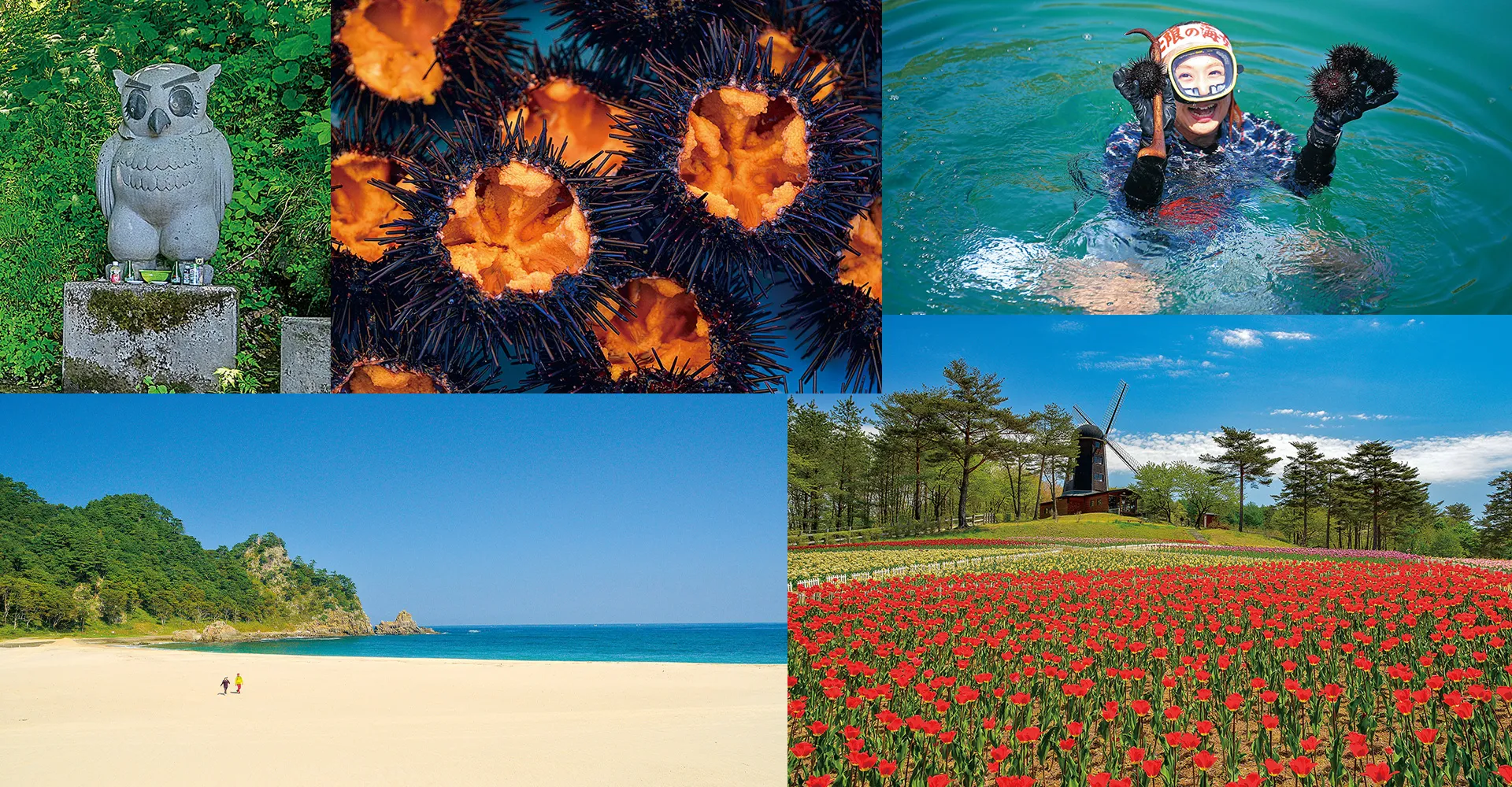 Amazing! A Journey to Northern Iwate